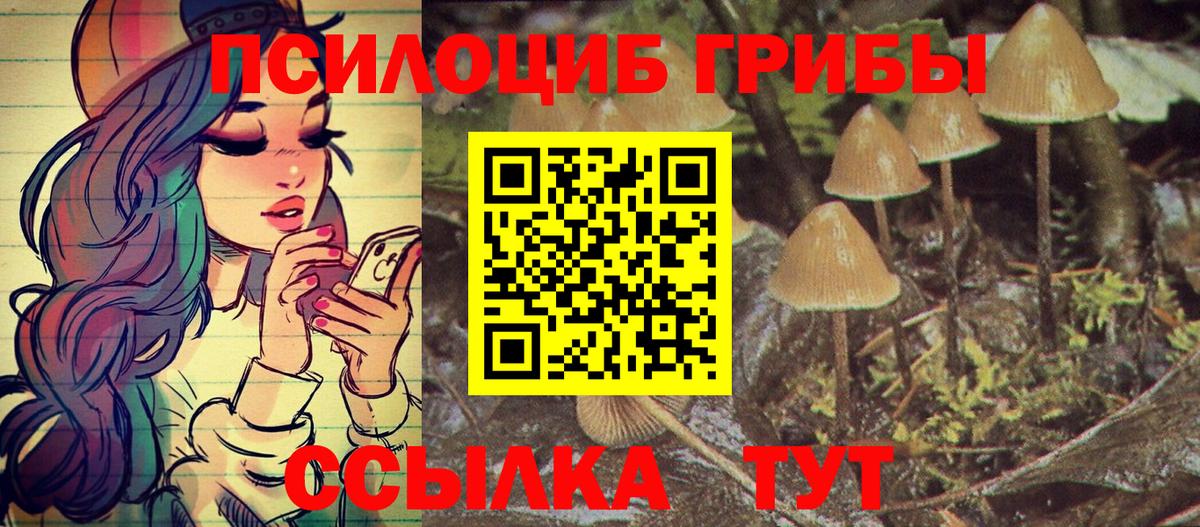 Псилоцибиновые грибы мицелий  цена наркотик  Баксан  Вход с VPN 