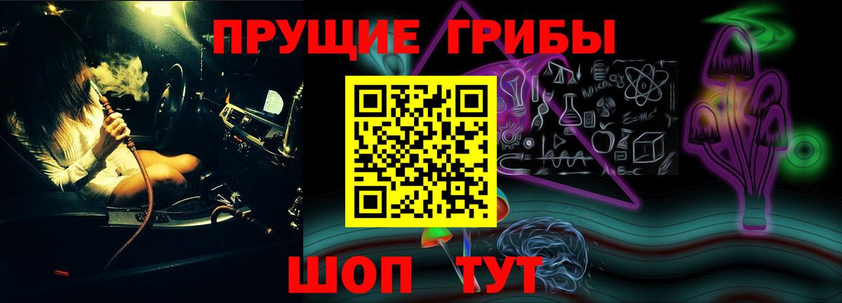 Псилоцибиновые грибы мицелий Баксан